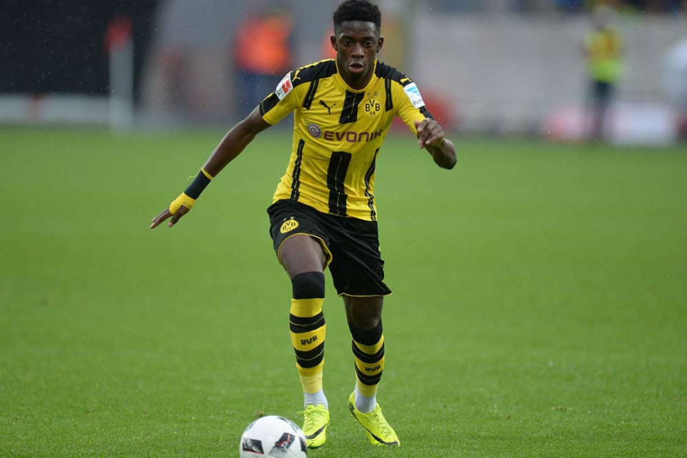 全能数据 全能数据