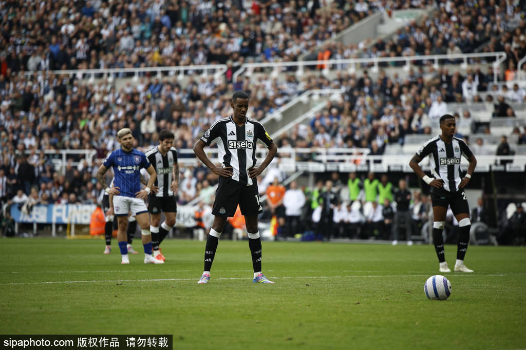 仅为选手们 仅为选手们