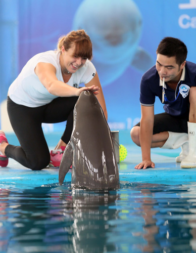 望通过后续 望通过后续