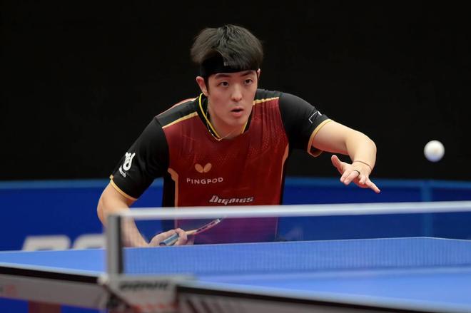 手的历史数 手的历史数