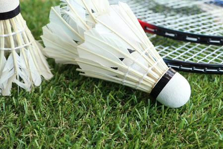 新陈代谢带 新陈代谢带